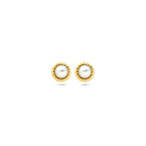 Gold Ear Studs Twisted with Pearl